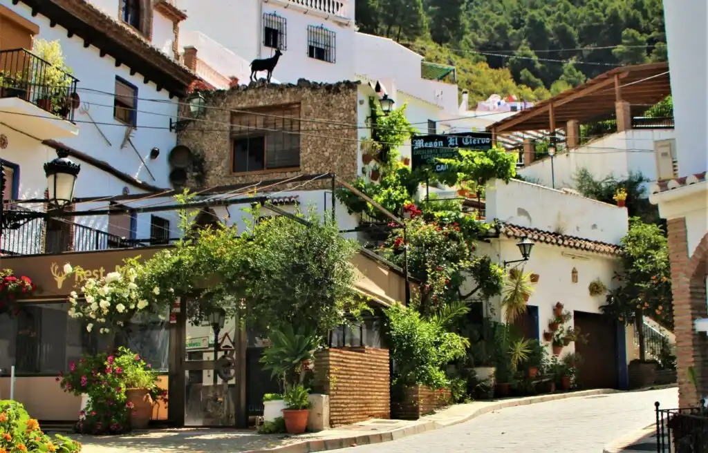 Vista exterior de Casa adosada en venda en Alcaucín amb Piscina