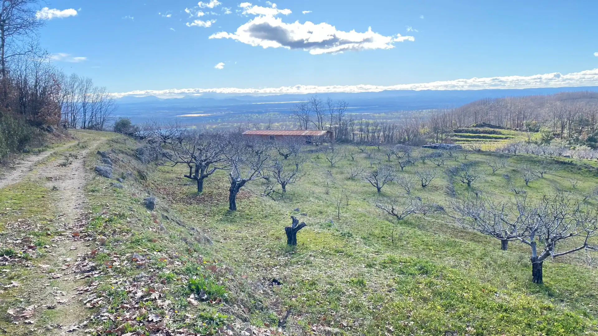Terreni e lotti in vendita a Pasarón de la Vera, imagen 21
