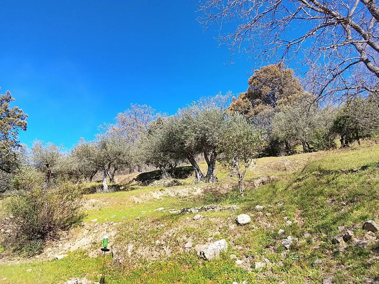 Terreni e lotti in vendita a Candeleda, imagen 25