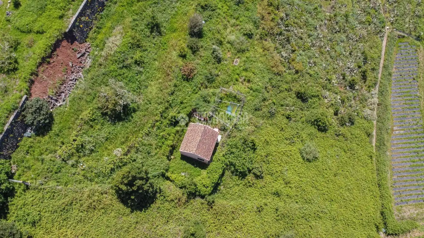 Land for sale in Icod de los Vinos
