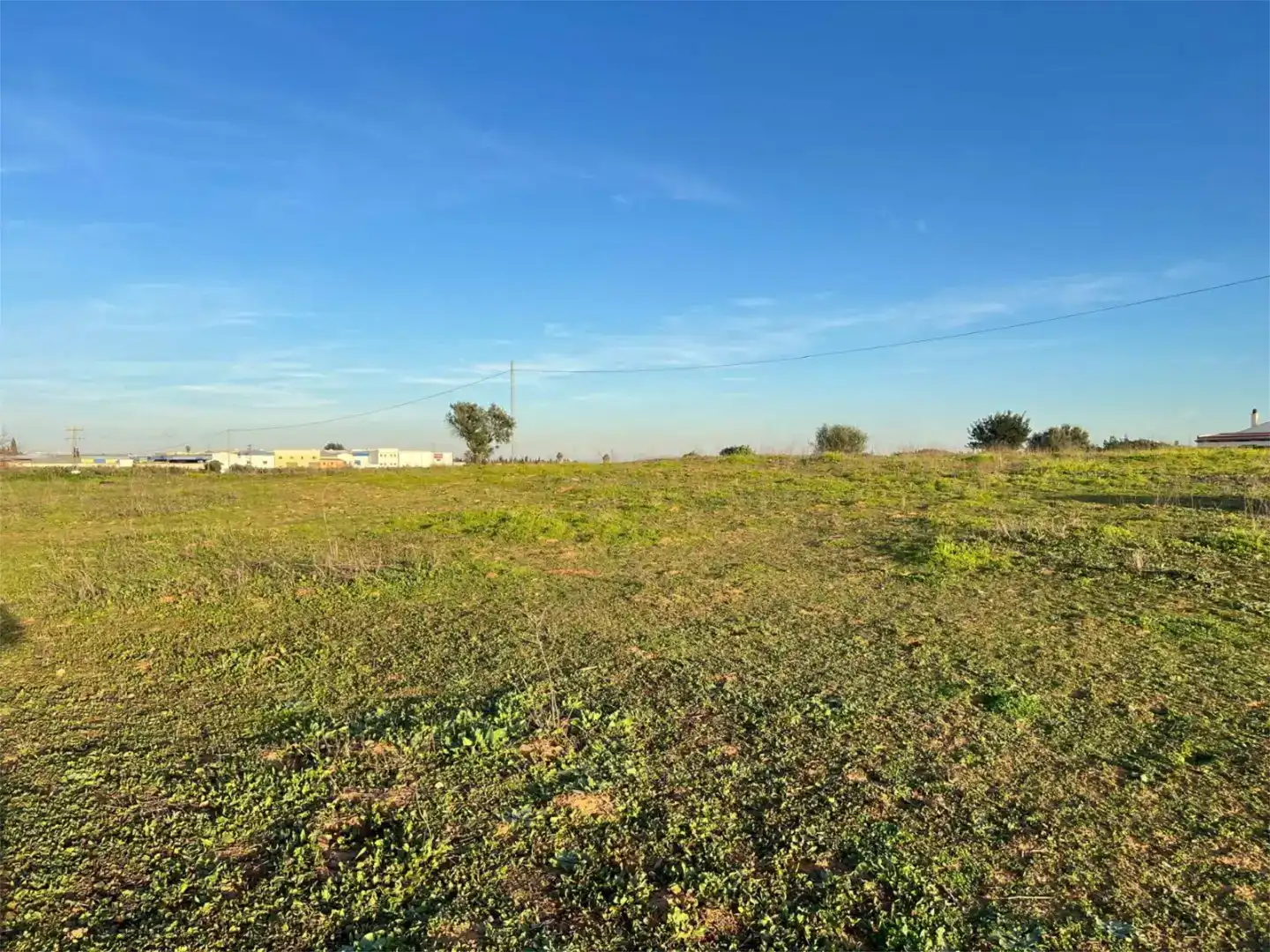 Terreno en venta en Benacazón
