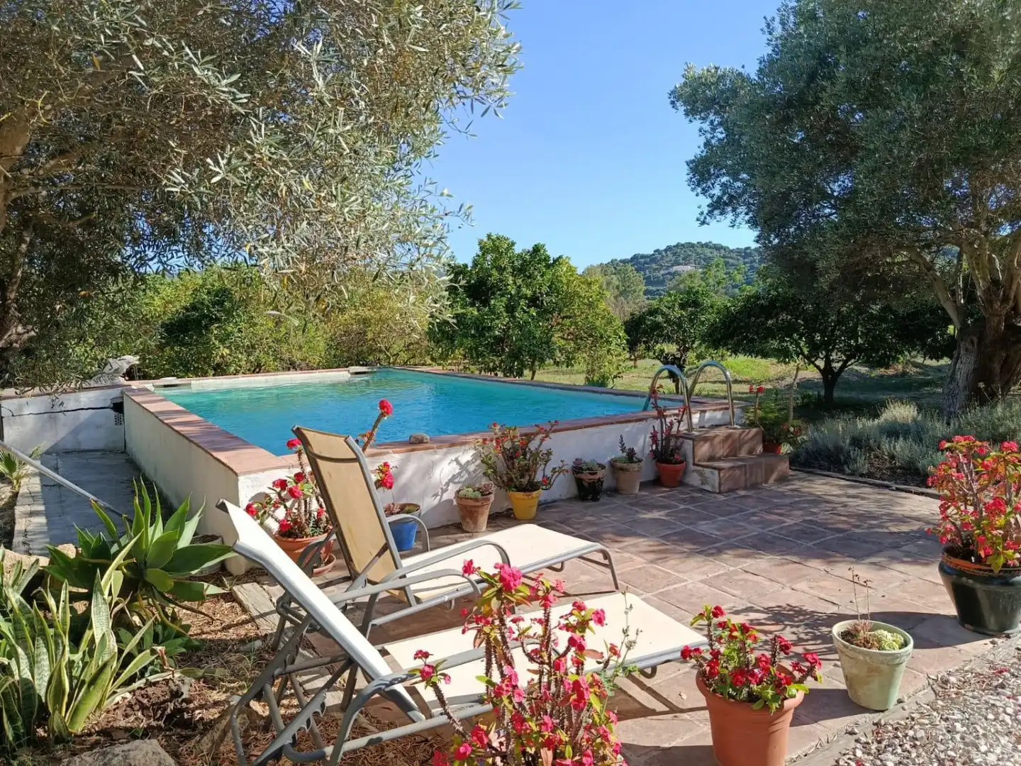 Casa rústica amb piscina en venda a San Martín del Tesorillo, imagen 2