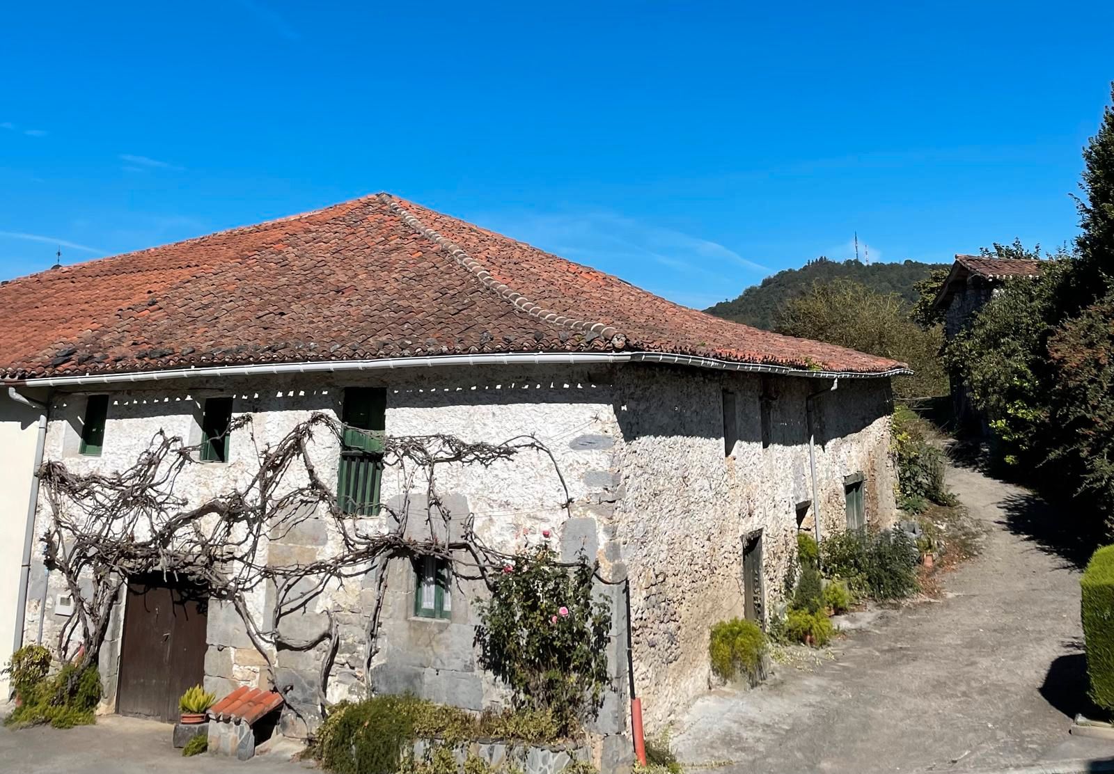 Vista exterior de Finca rústica en venda en Altzo