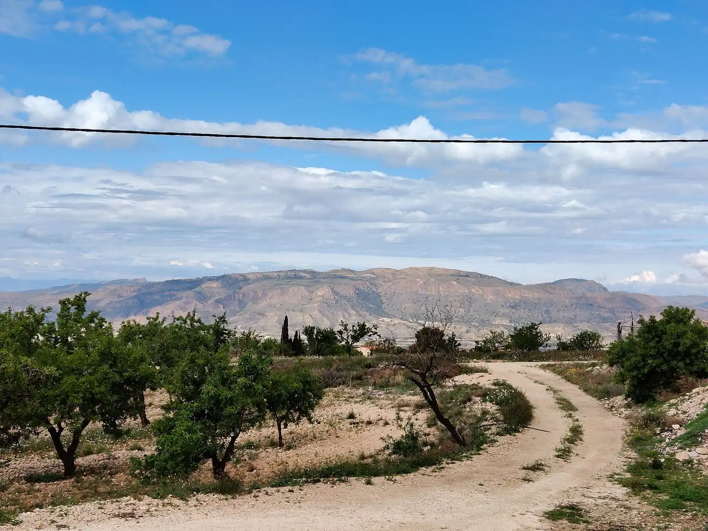 Vista exterior de Casa o chalet en venta en Jumilla