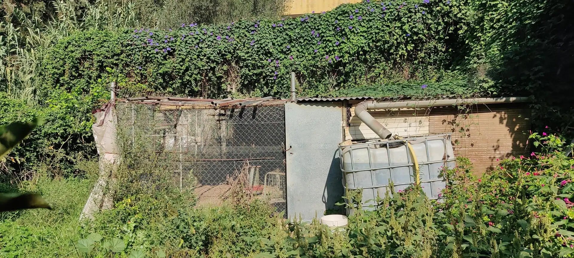 Terreno residenziale in vendita a Can Massuet del Far, imagen 16