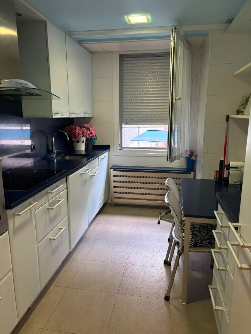 Cocina de Apartamento de alquiler en Bilbao  con Calefacción, Amueblado y Horno