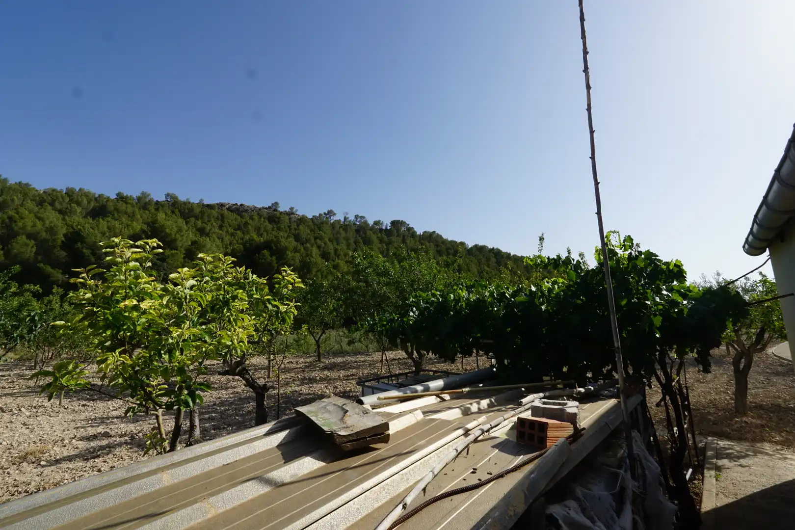 Finca rústica en venda en Ibi