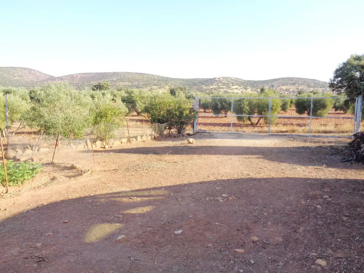 Country homes for sale in Moral de Calatrava