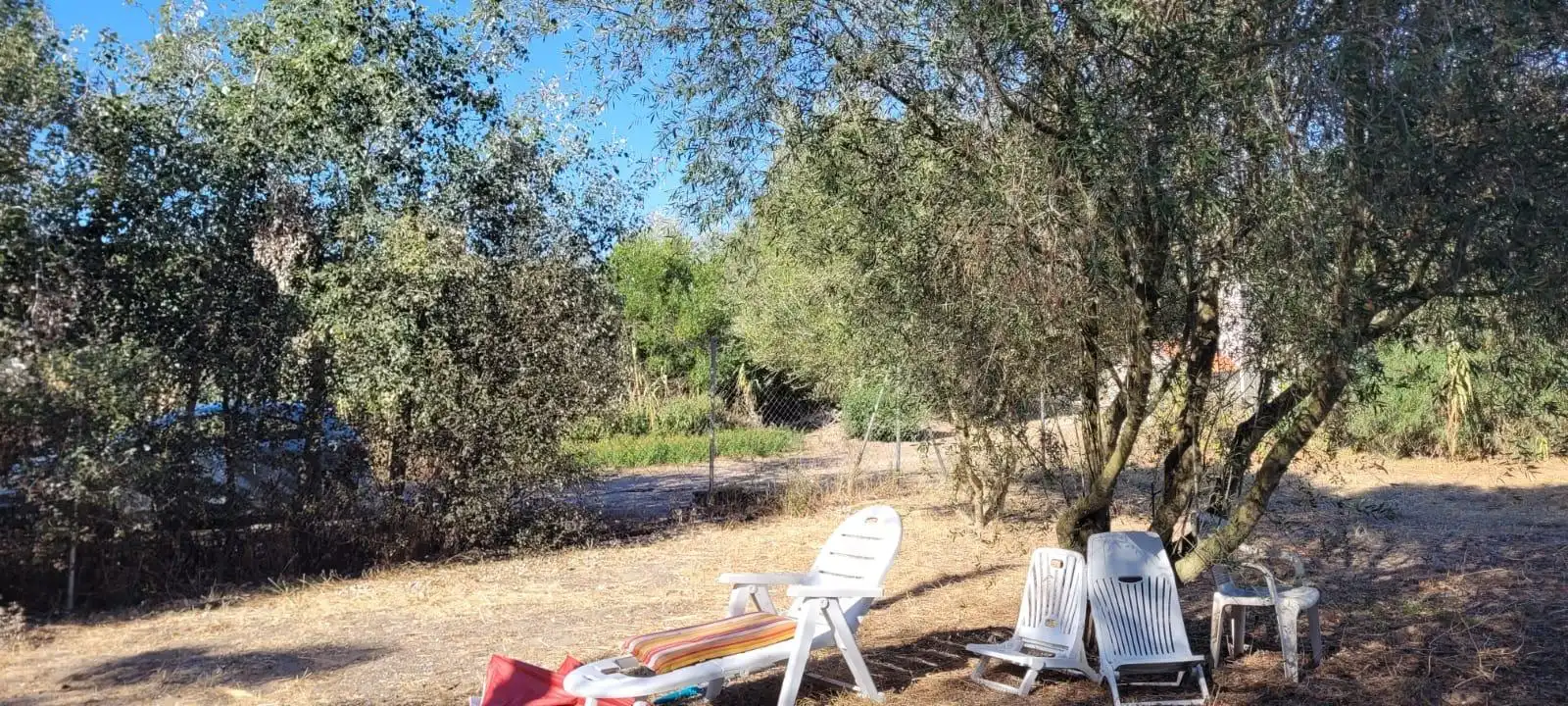 Houses for sale in Barbate  with Private garden and Terrace