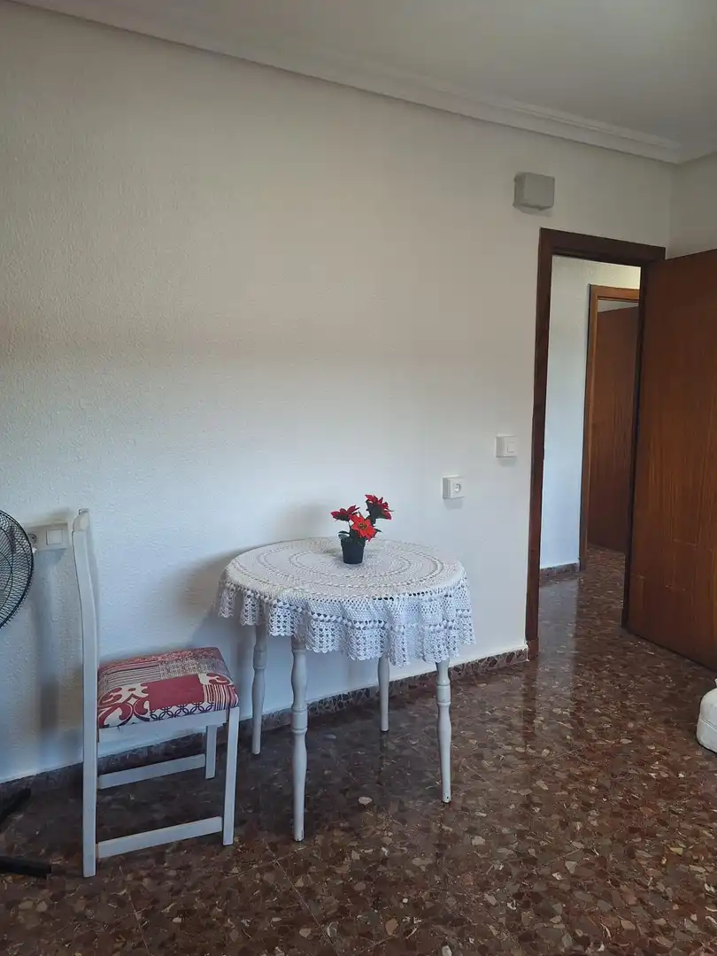 Flat with terrace to rent in Calle Calle Derechos Humanos, imagen 28