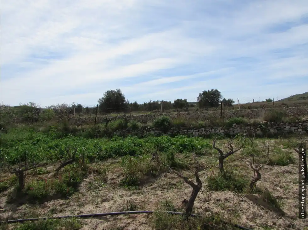 Country house for sale in Sorbas, imagen 8