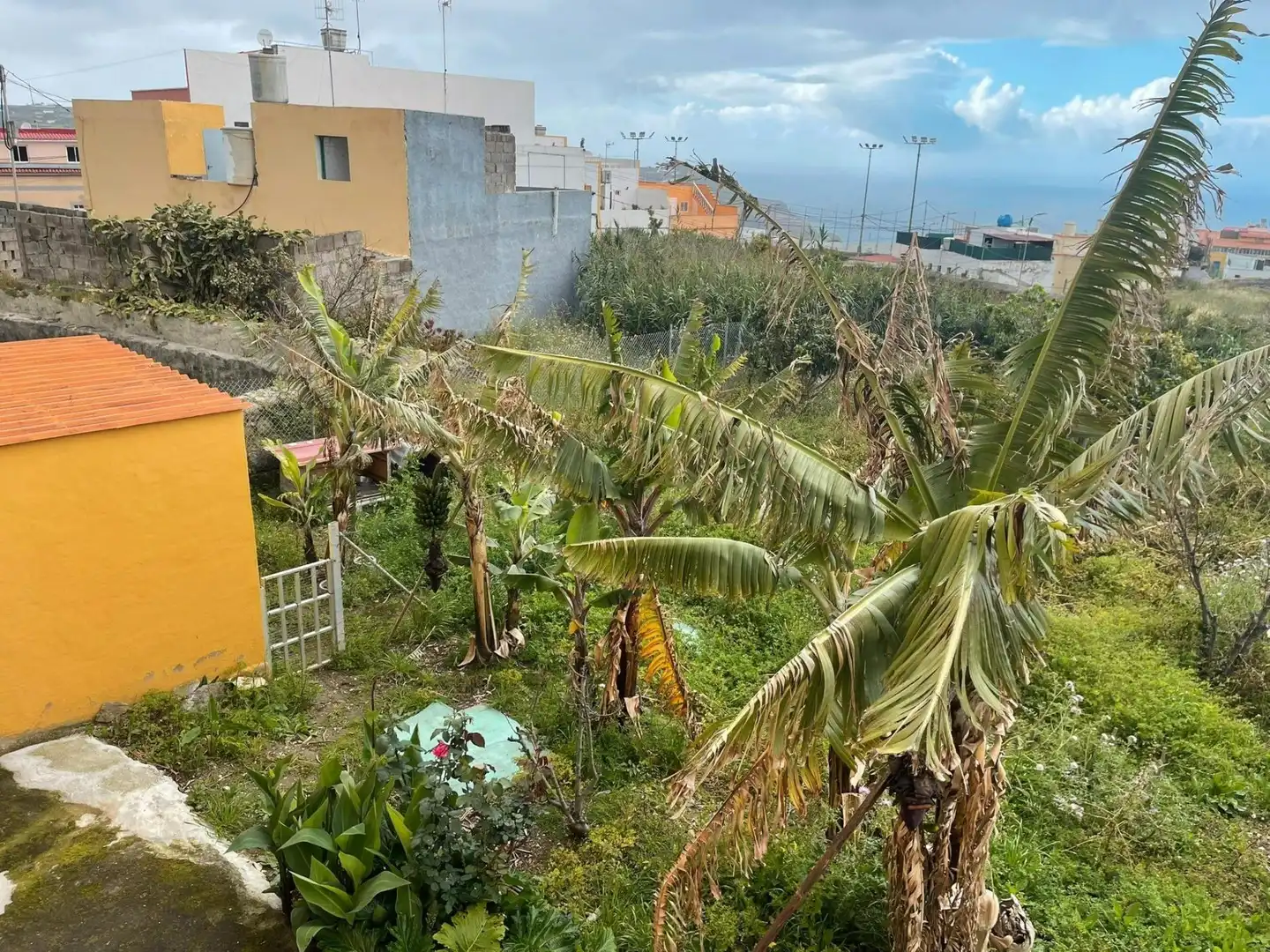 Casa o xalet en venda en Moya (Las Palmas) amb Traster