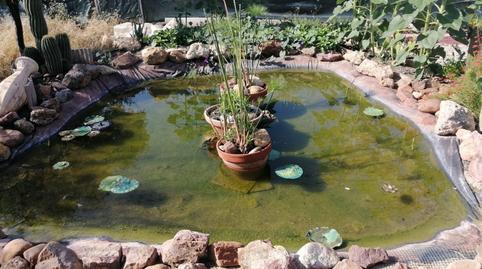 Foto 4 de Casa o xalet en venda a Pedro Abad, Córdoba