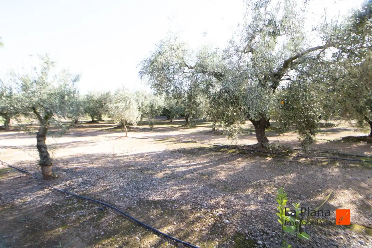 Terreno rustico in vendita a Santa Bàrbara, imagen 6