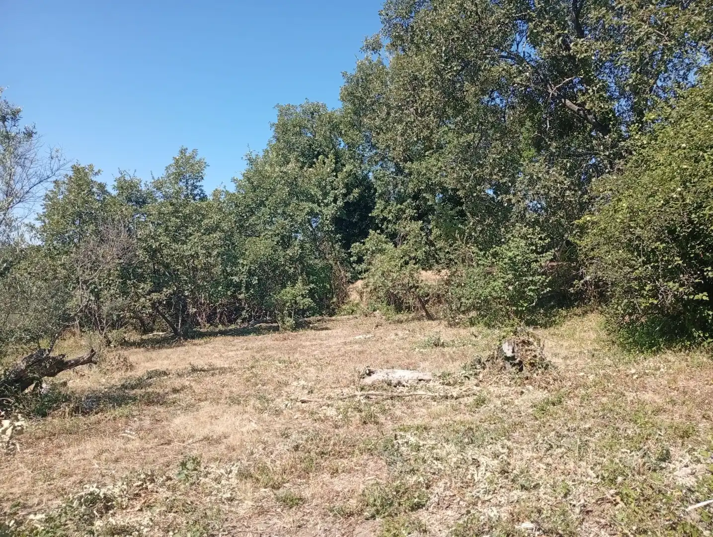 Terreni e lotti in vendita a Villanueva de la Vera, imagen 23