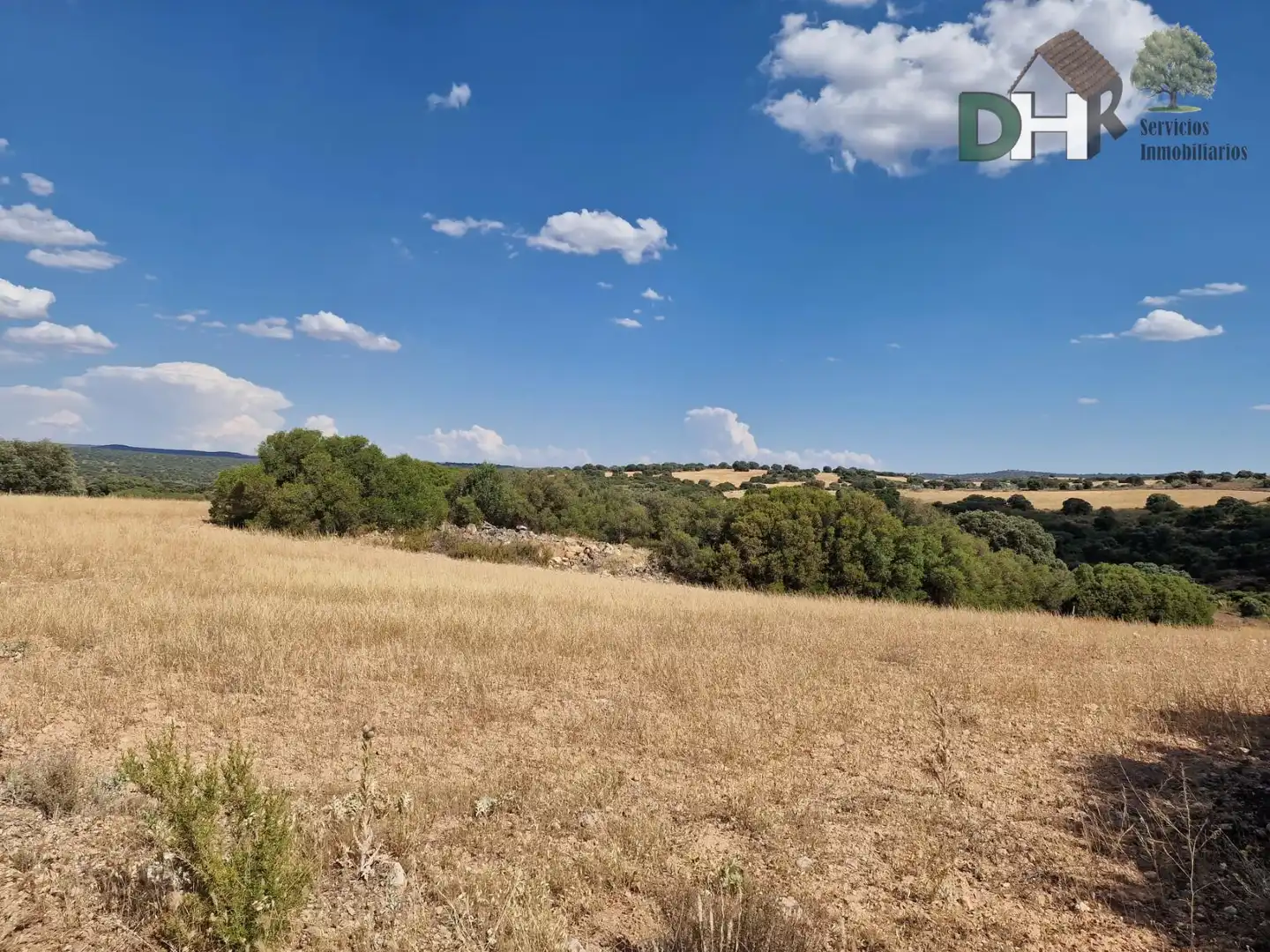 Terrenys i solars en venda a Miguelturra
