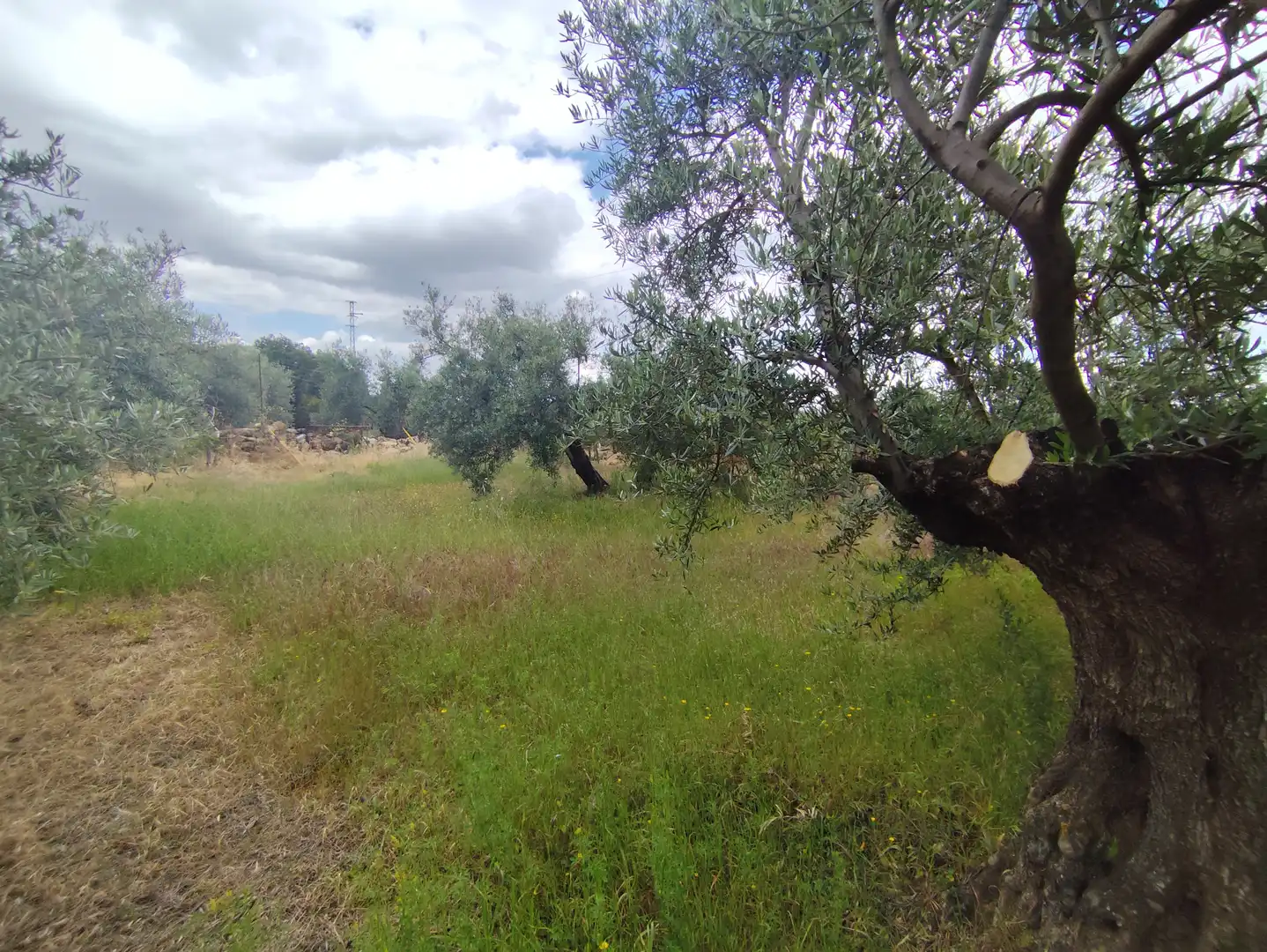 Country house zum Verkauf in Úbeda mit Schwimmbad