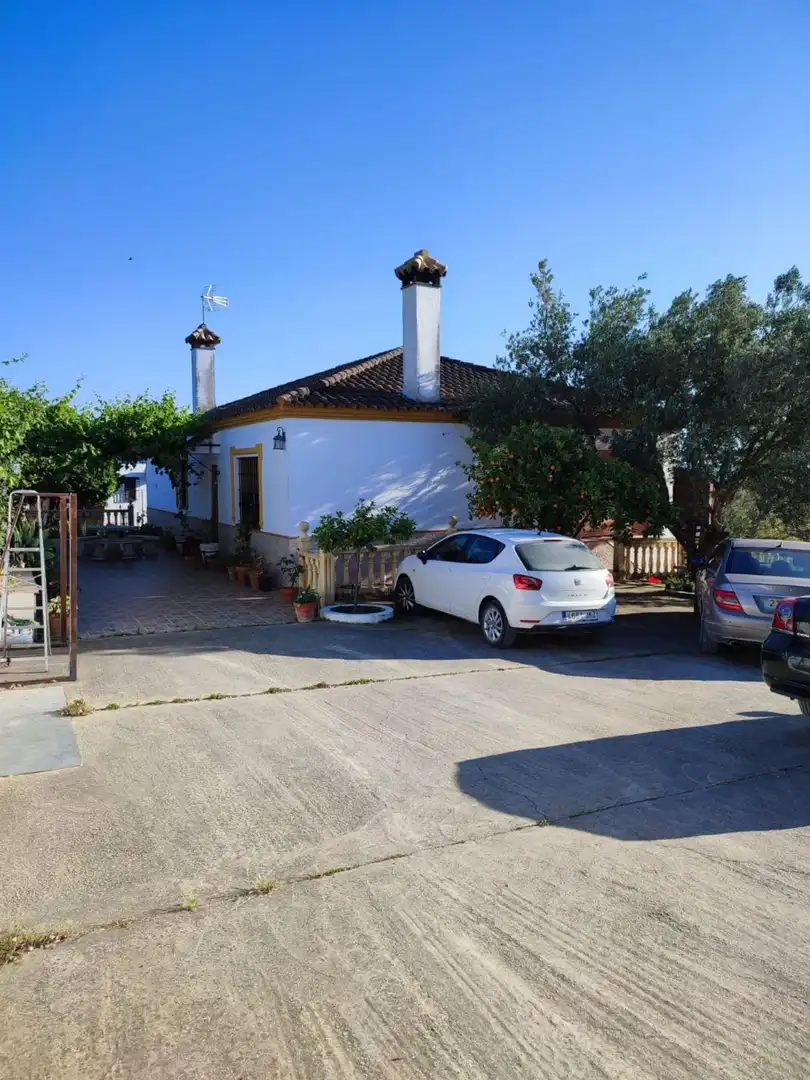 Exterior view of Houses for sale in Arcos de la Frontera  with Air Conditioner, Terrace and Swimming Pool