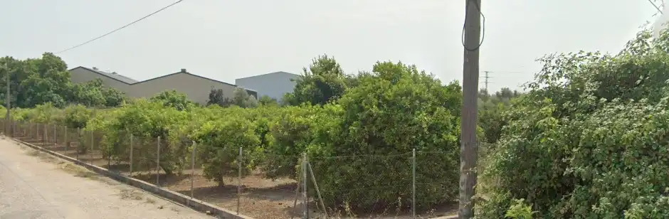 Terreny industrial en venda en Carcaixent