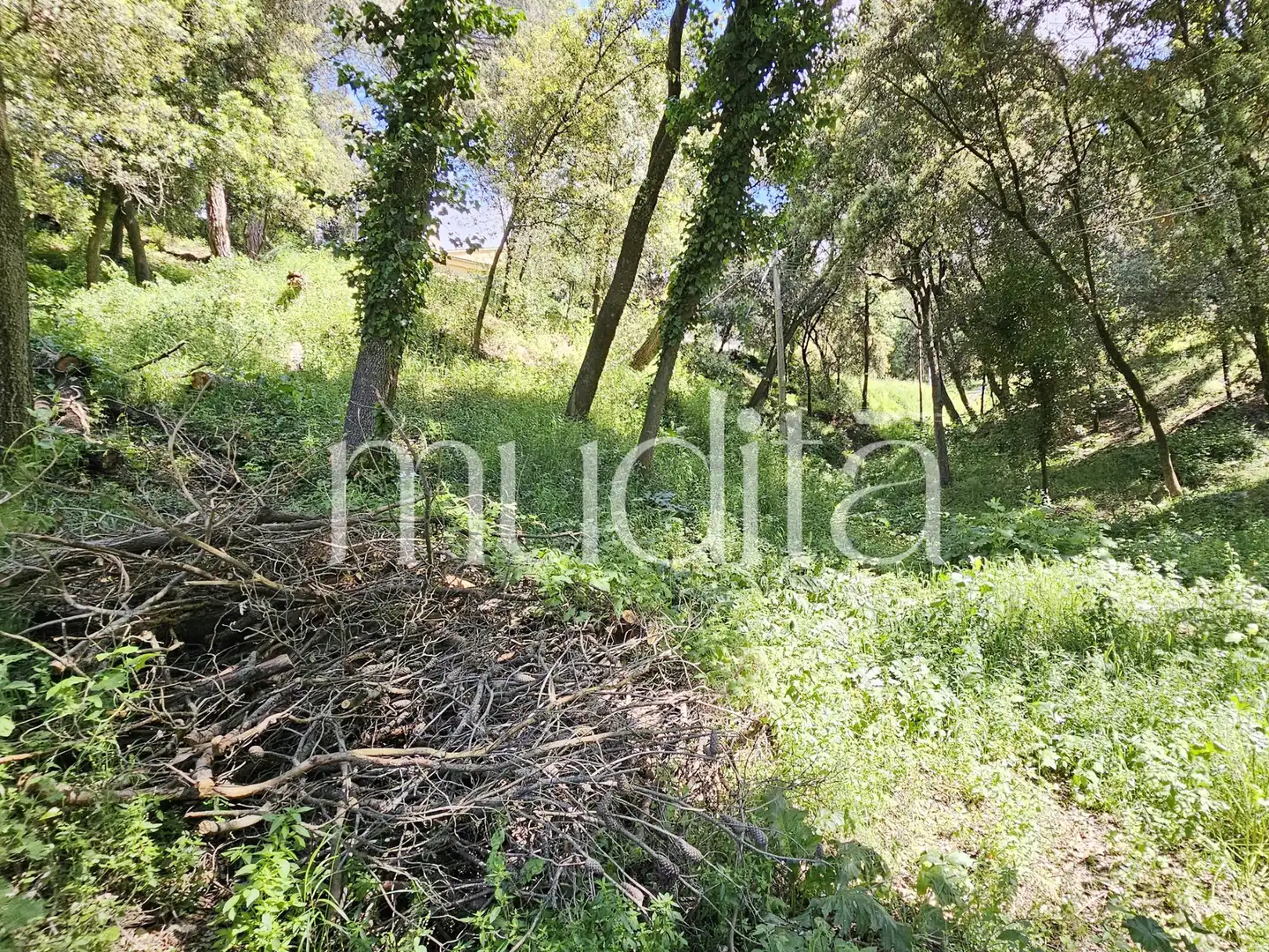 Residential land for sale in Sant Pere de Vilamajor, imagen 14