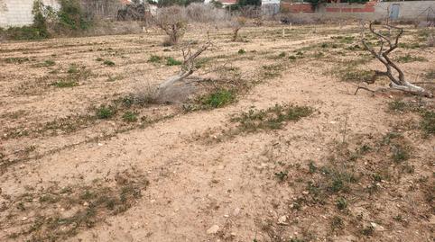 Foto 3 de Residencial en venda a Calle Río Guadiana, Sol y Luz, San Vicente del Raspeig / Sant Vicent del Raspeig
