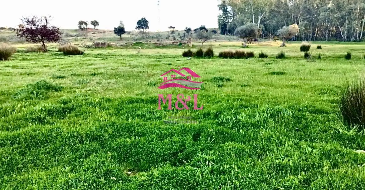 Terreni e lotti in vendita a Oeste, imagen 3