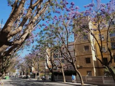 Apartament en venda a Centro ciudad