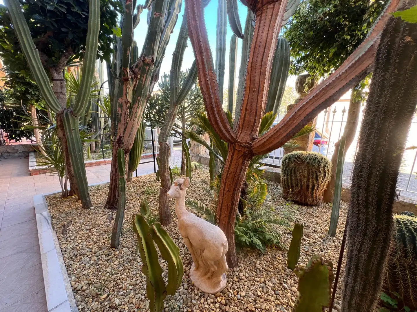 Jardí de Casa o xalet en venda en Pulpí amb Jardí privat, Terrassa i Traster