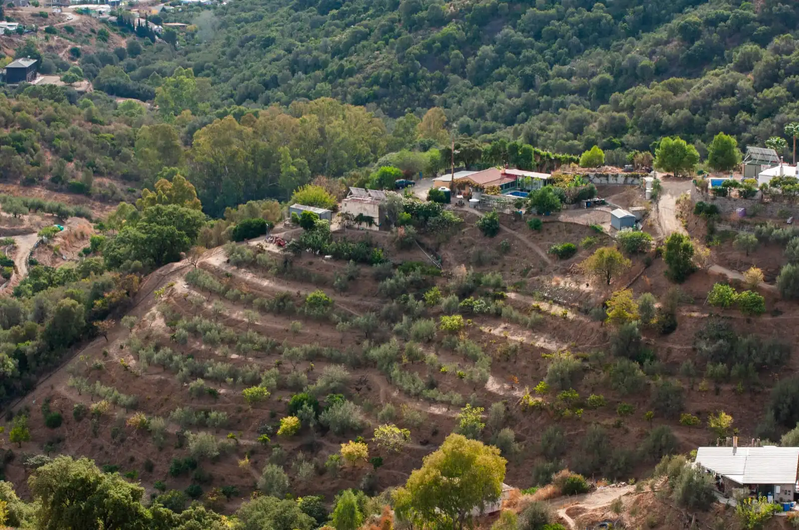 Vista exterior de Casa o xalet en venda en Marbella amb Piscina i Moblat