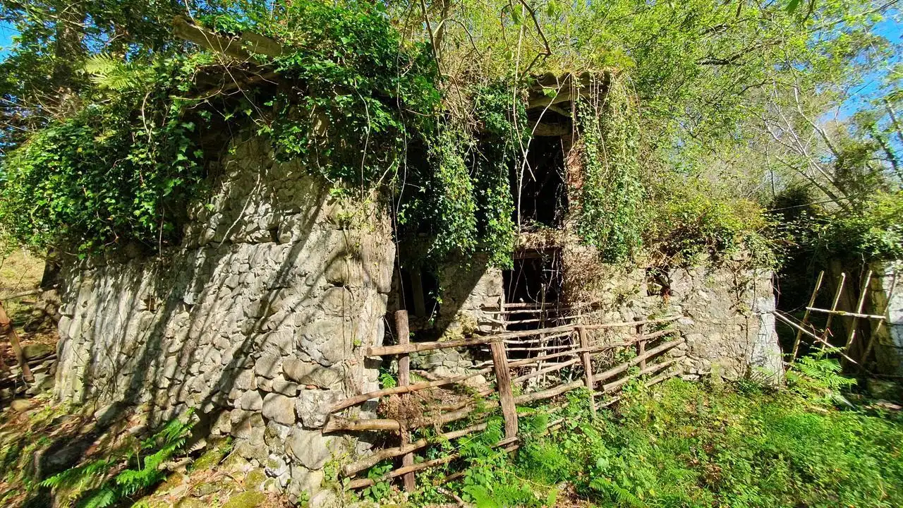 Vista exterior de Finca rústica en venta en Llanes