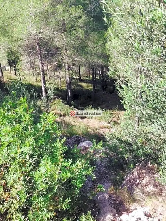 Lands and plots for sale in Urbanización Can Gordei, imagen 5