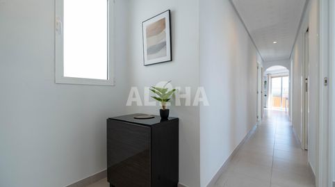 Photo 3 of Apartments for rent in Alfara del Patriarca, Valencia