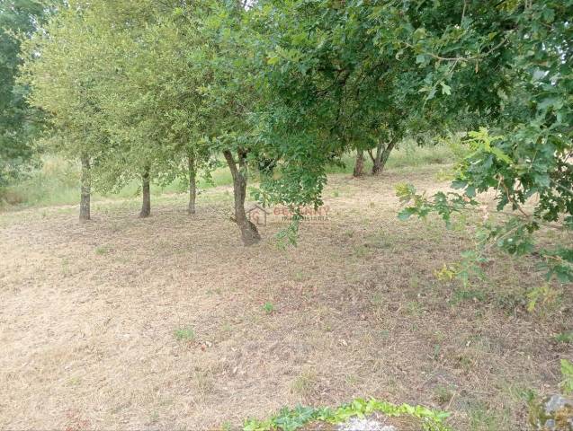 Terreno residencial en Venta en San Cibrao das Viñas