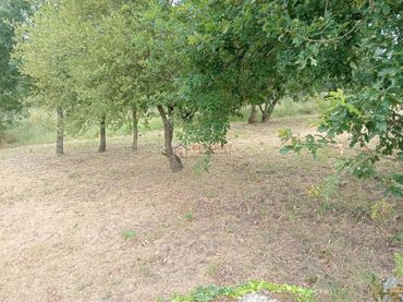 Wohnbaugrundstück zum Verkauf in San Cibrao das Viñas