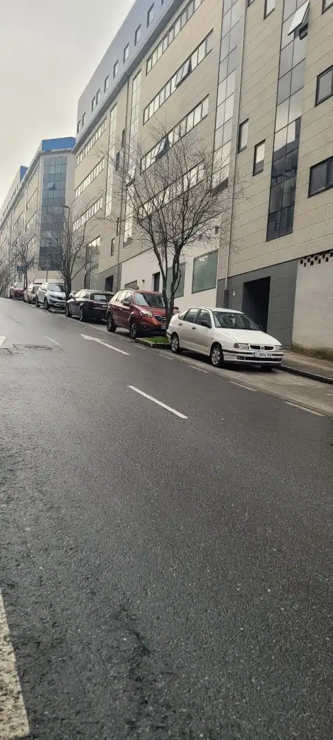 Local comercial en alquiler en Rúa de Alejandro Pérez Lugín, imagen 5