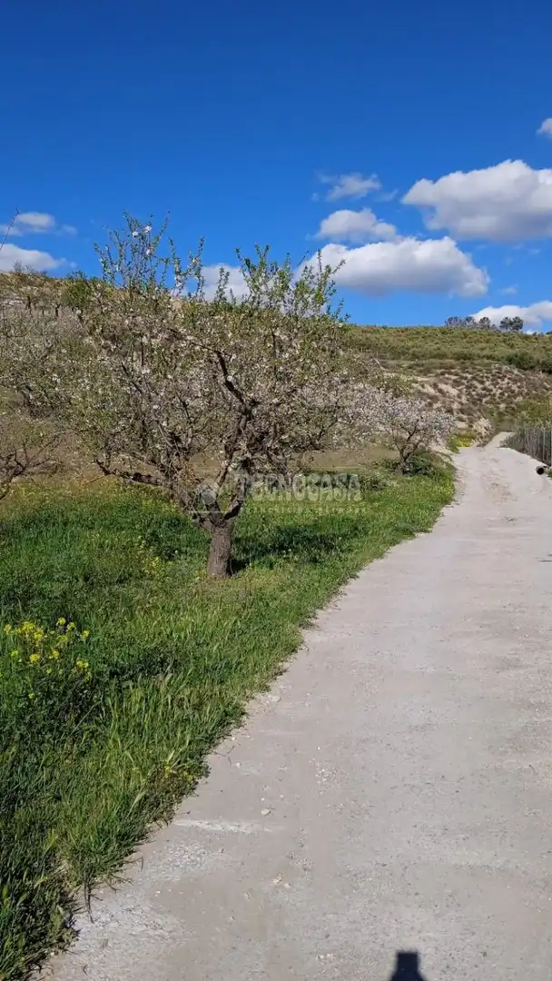 Rustikales Grundstück zum Verkauf in Gójar, imagen 6
