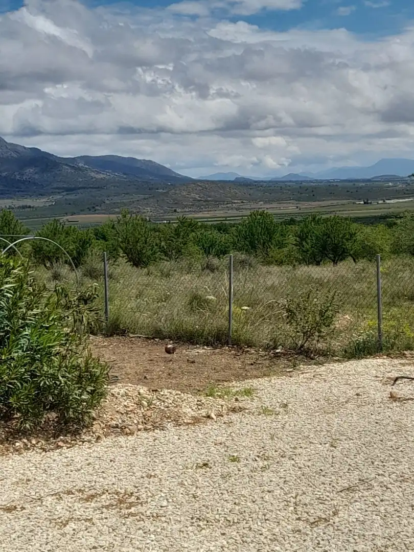 Haus zum Verkauf in El Pinós / Pinoso, imagen 41
