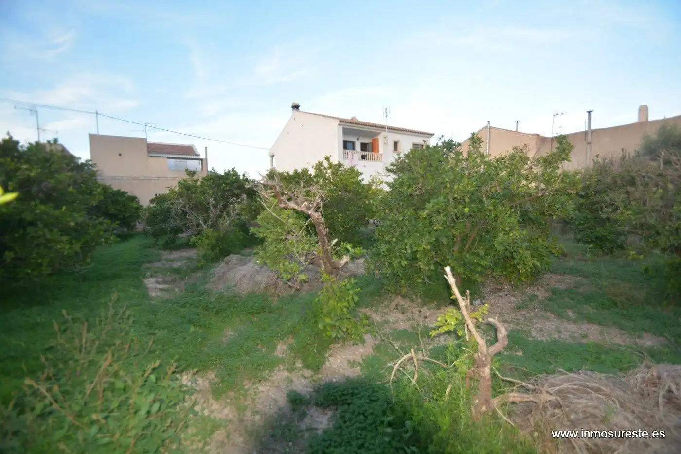 Casa o xalet en venda en Orihuela amb Terrassa