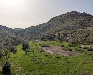 Finca rústica en venda en Olula del Río