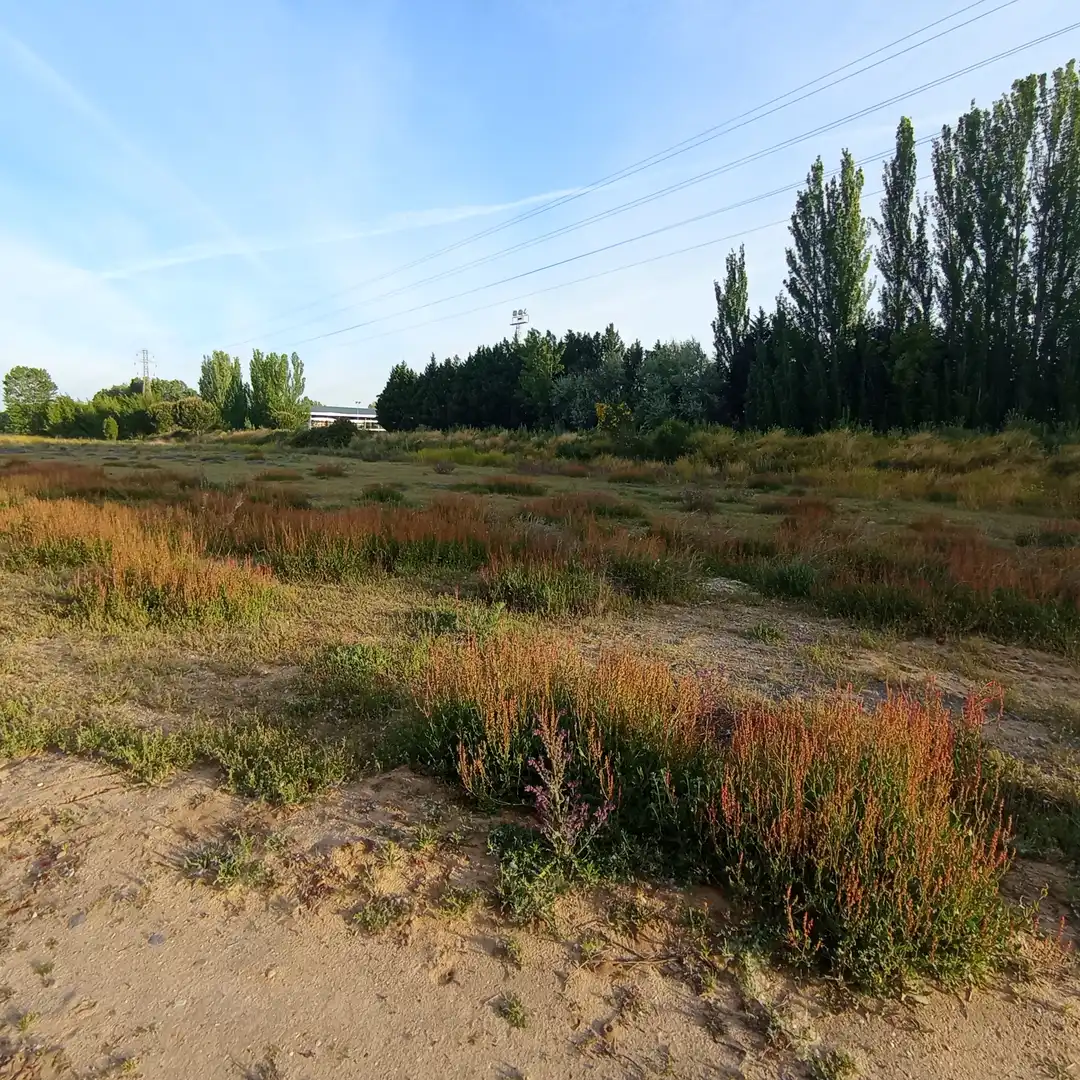 Casa o chalet en venta en Valladolid