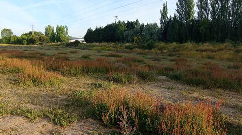 Photo 2 of House or chalet for sale in Camino Via Pinar Ramal 1, Extrarradio, Valladolid