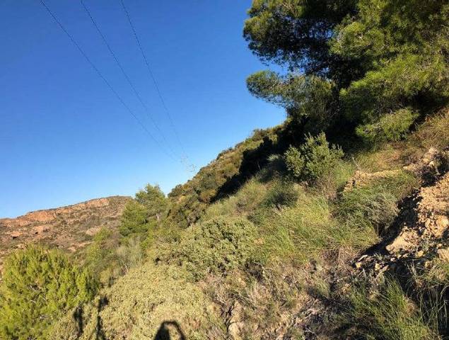 Terreno en Venta en Purchena