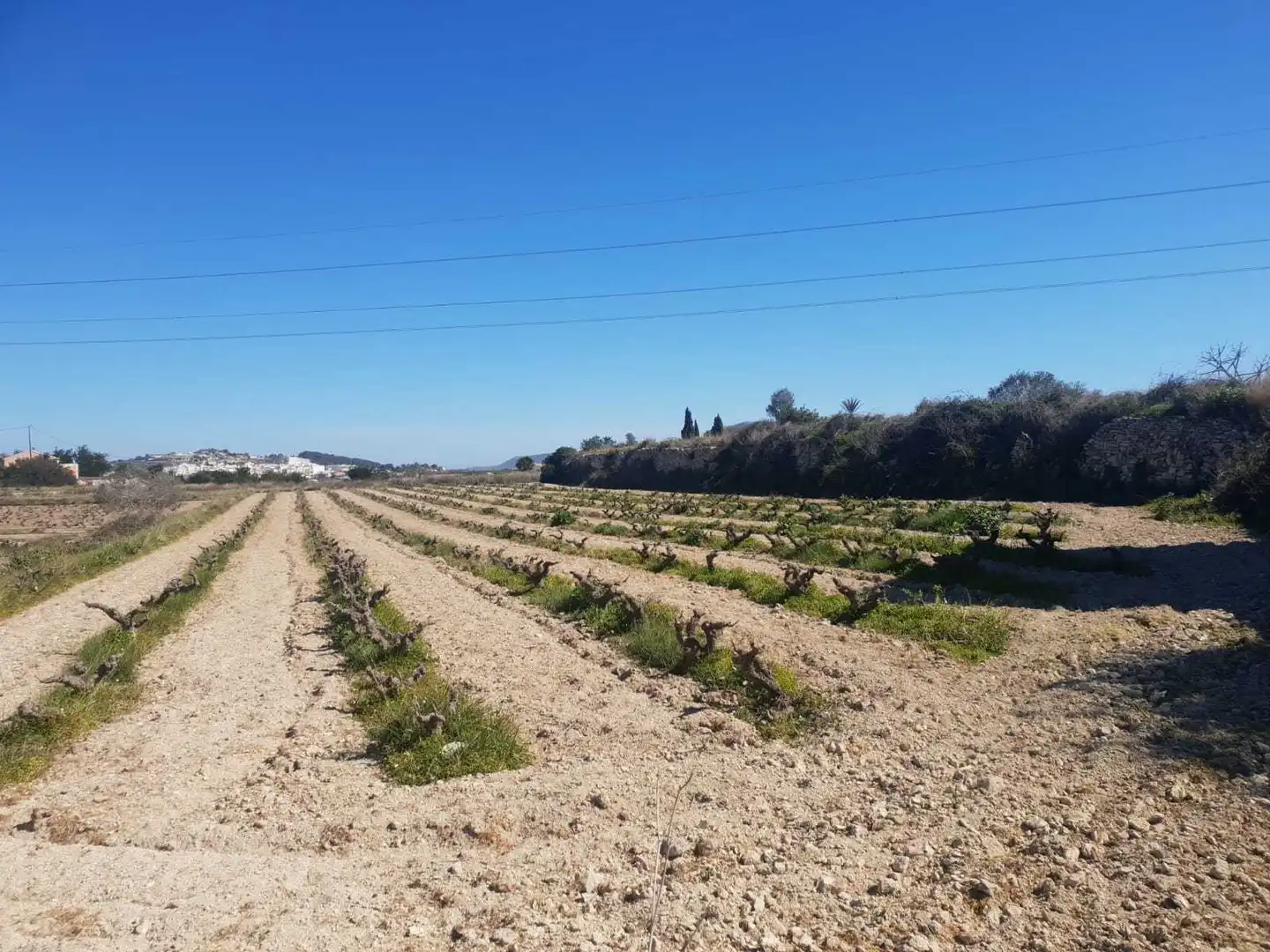 Residential land for sale in Benimeit - Tabaira