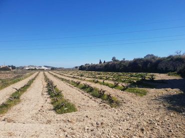 Residential land for sale in Benimeit - Tabaira