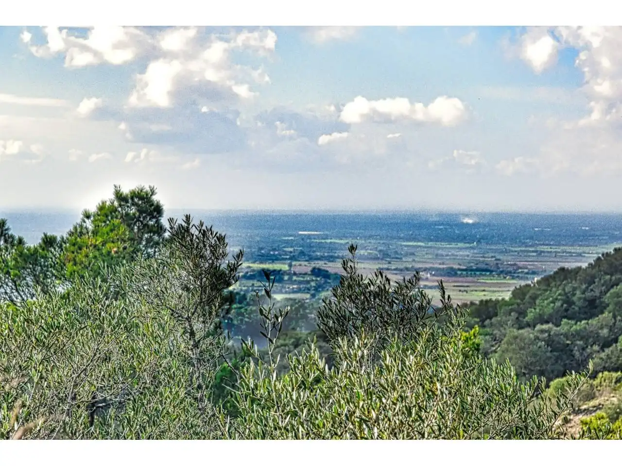 Wohnbaugrundstück zum Verkauf in Poligono 34 1254