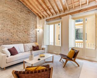 Living room of Attic to rent in Málaga Capital  with Air Conditioner, Terrace and Furnished