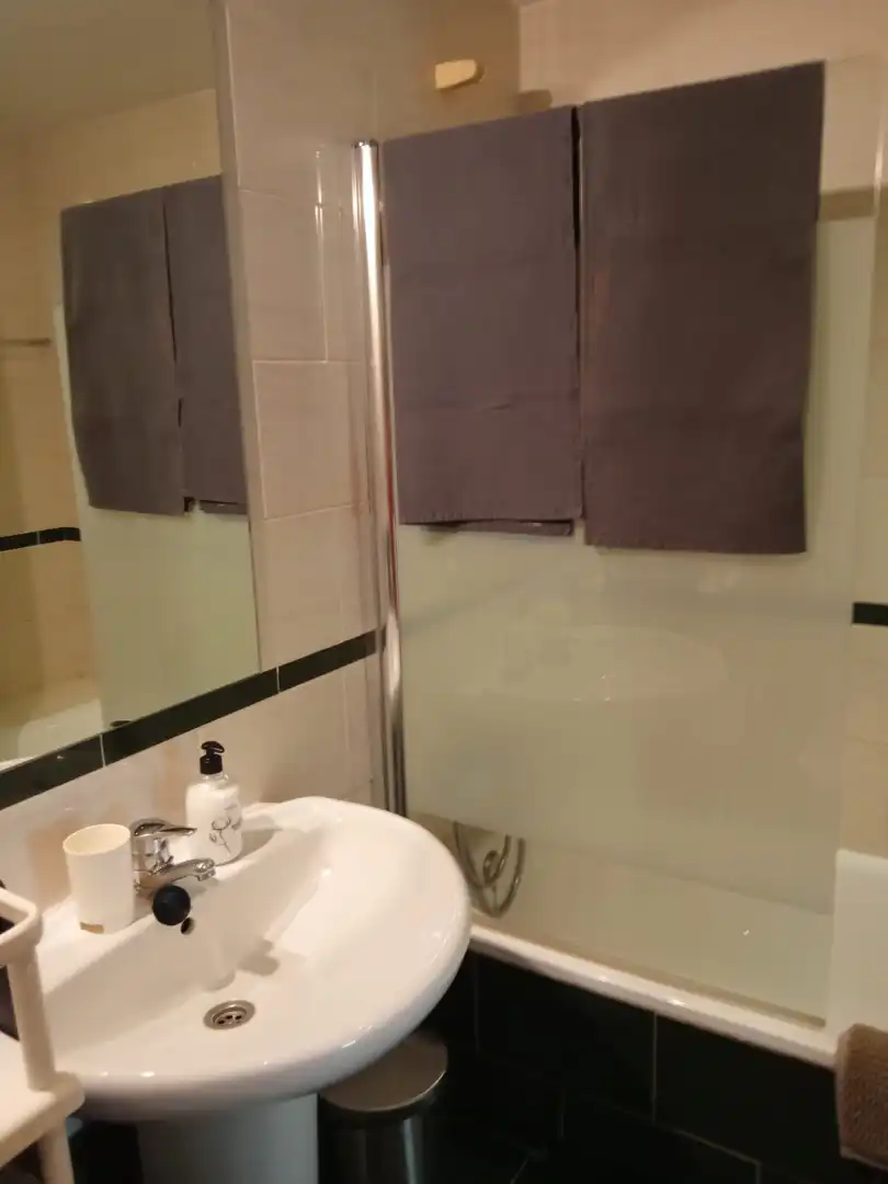 Flat with pool to rent in Calle de la Ribera de Curtidores, imagen 11