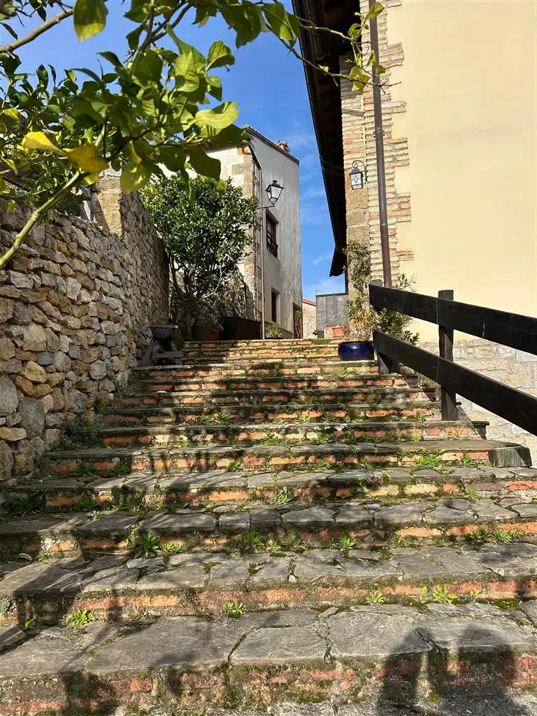 Vista exterior de Finca rústica en venta en Val de San Vicente 