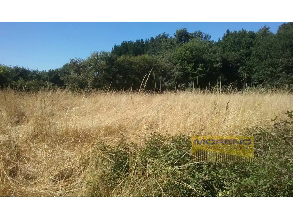 Finca rústica en venta en O Páramo 