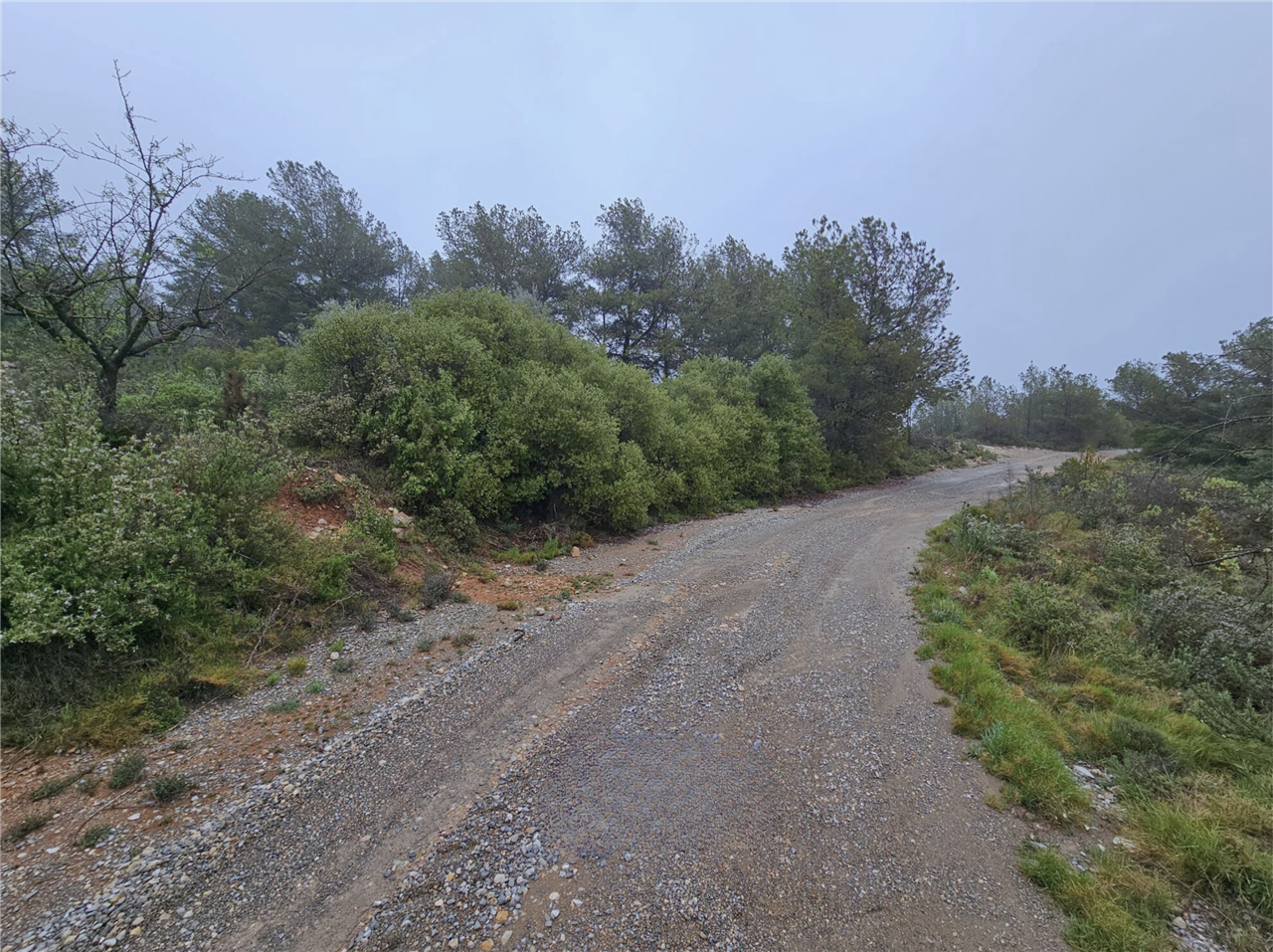 Residential for sale in Altura